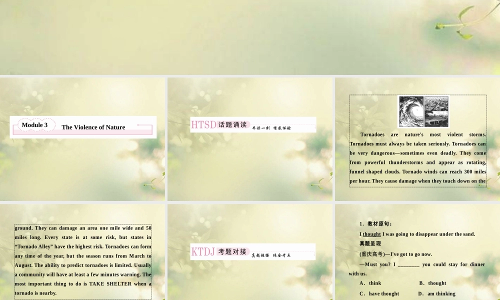 高考英语总复习 Unit3 The Violence of Nature精品课件 外研版必修3 课件