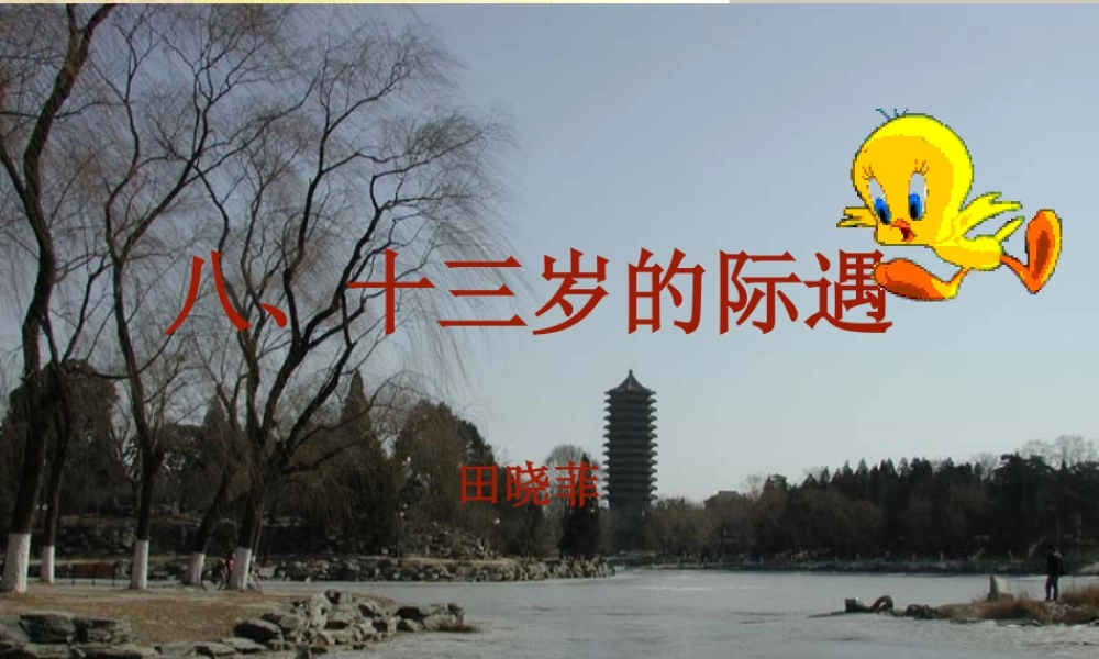 第二单元课件举例(十三岁的际遇)  七年级语文上册教学设计及课件实例苏教版