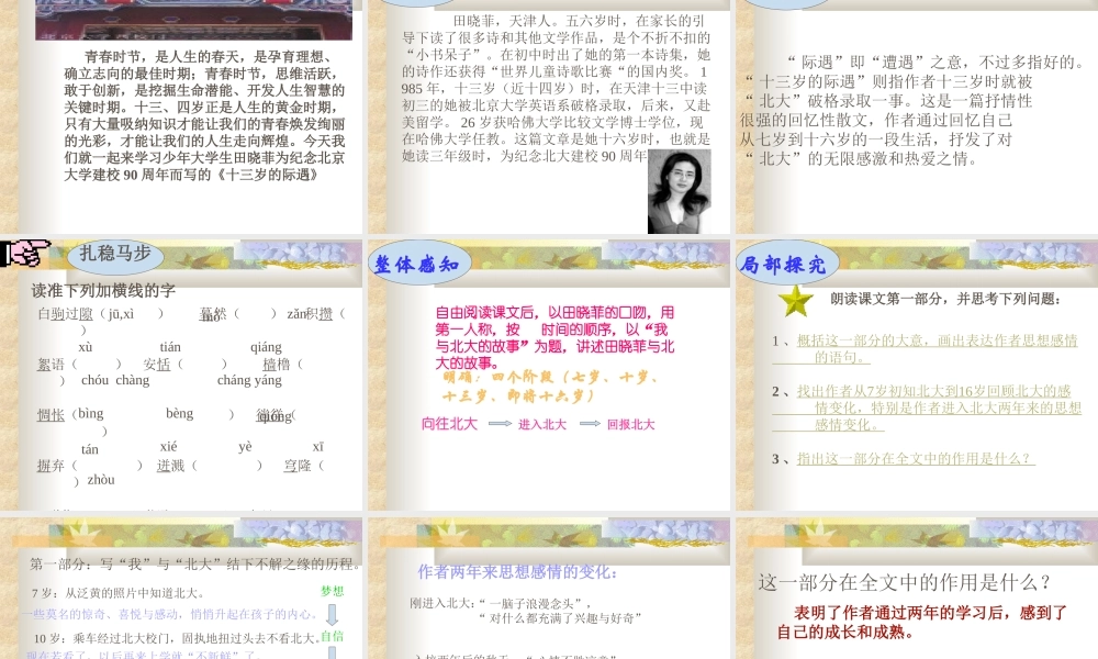 第二单元课件举例(十三岁的际遇)  七年级语文上册教学设计及课件实例苏教版