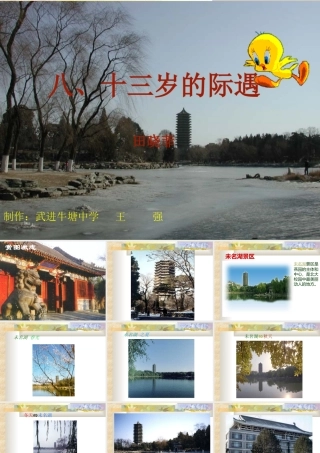 第二单元课件举例(十三岁的际遇)  七年级语文上册教学设计及课件实例苏教版