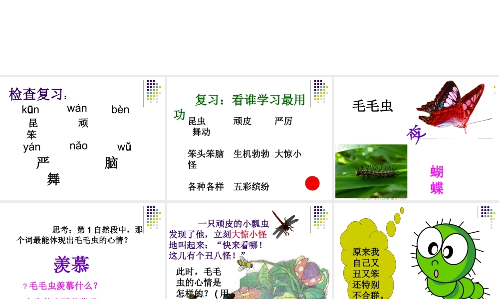 毛毛虫的故事课件