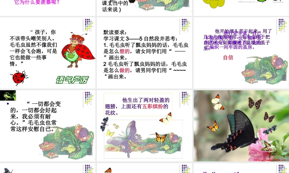 毛毛虫的故事课件