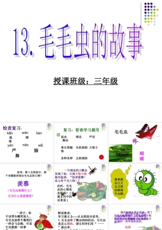 毛毛虫的故事课件