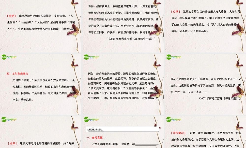 高考语文 作文等级突破-要有文采复习课件 新人教版 课件