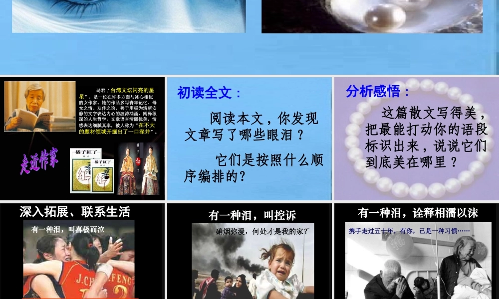 泪珠与珍珠 人教版 课件