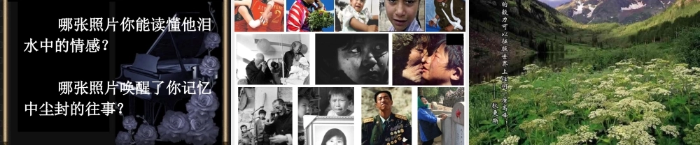 泪珠与珍珠 人教版 课件