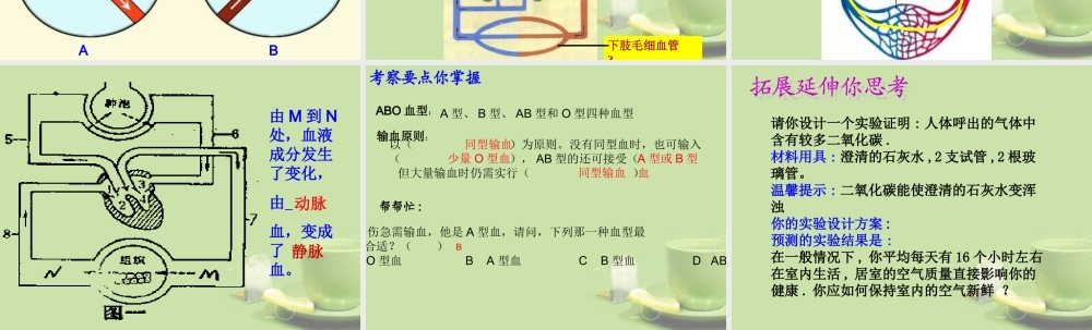 甘肃省会宁县七年级生物下册(人体生命活动的能量供给)课件  课件