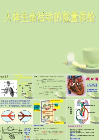 甘肃省会宁县七年级生物下册(人体生命活动的能量供给)课件  课件