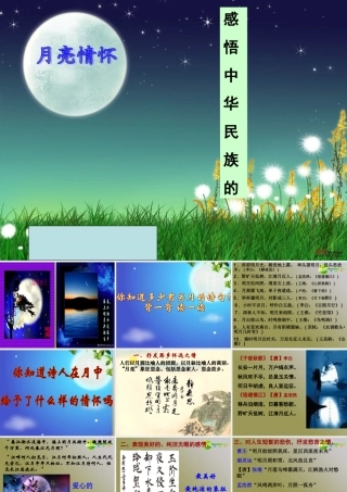 高考语文 感悟中华民族的月亮情怀复习课件