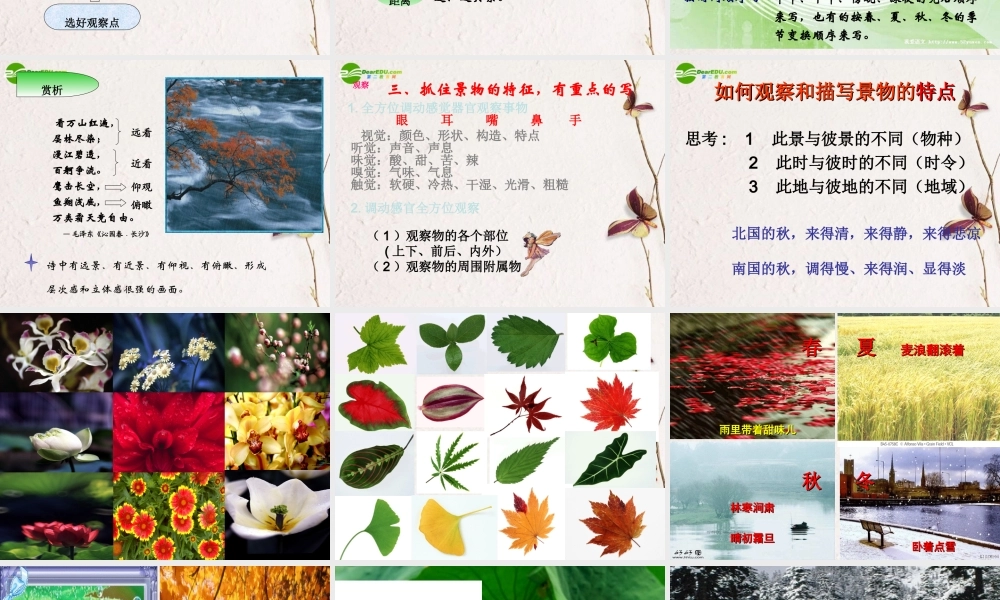 高考语文(亲近自然写景要抓住特征)课件 新人教版 课件