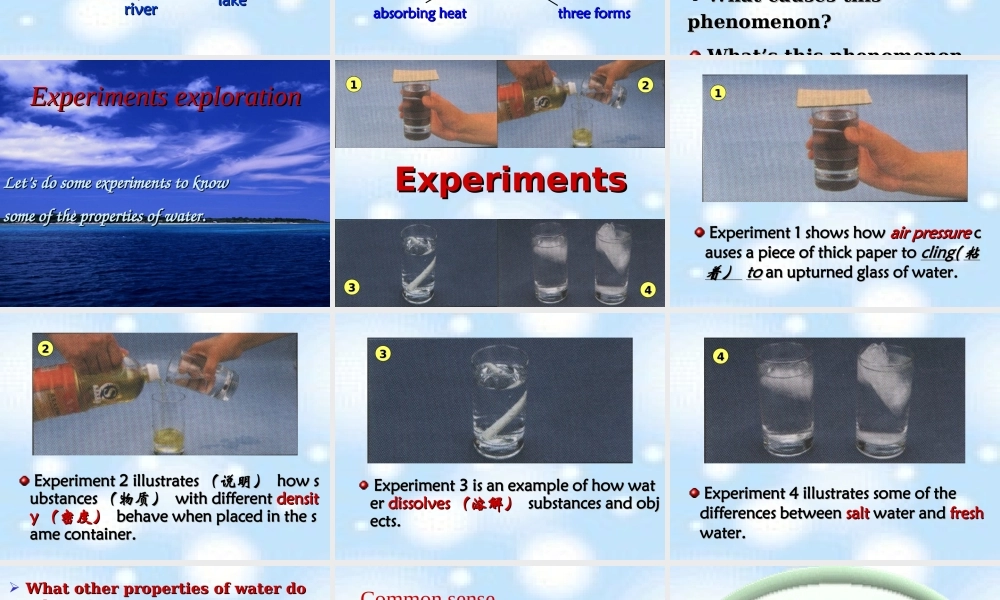 高二英语下学期Unit13 The water planet-Speaking 人教版 课件