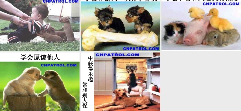 文明的话我会说-主题班会课件