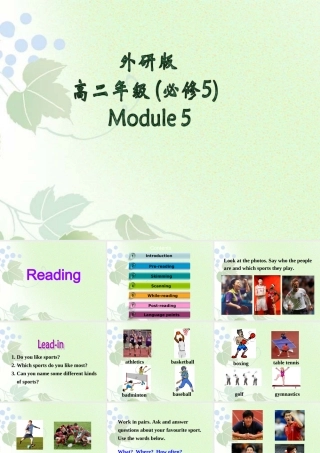 高中英语 5-1 Reading课件 外研版必修5 课件