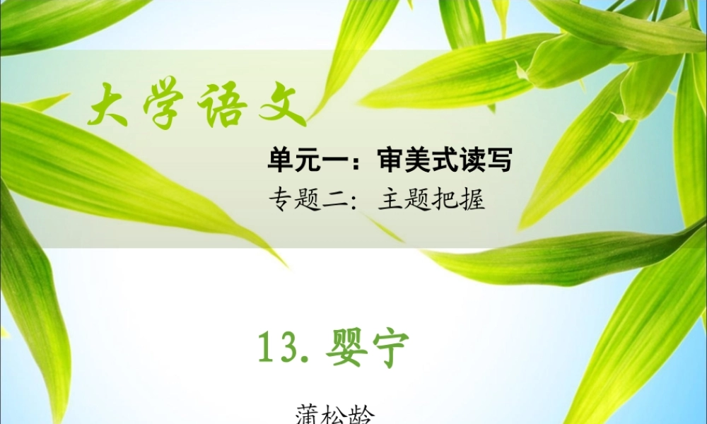 13.《婴宁》课件