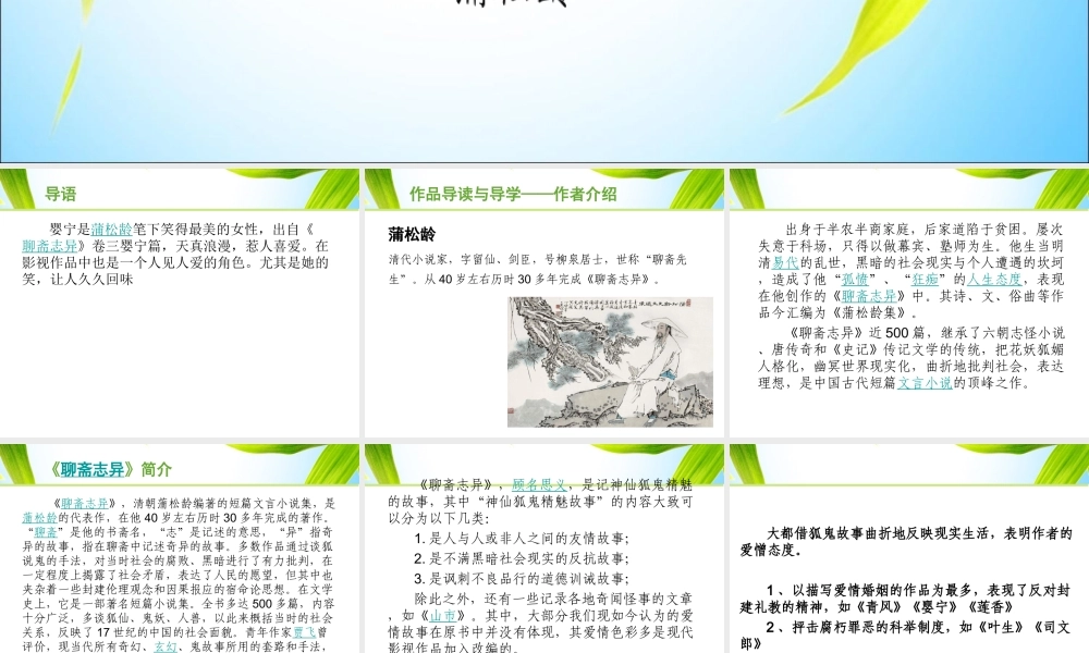 13.《婴宁》课件