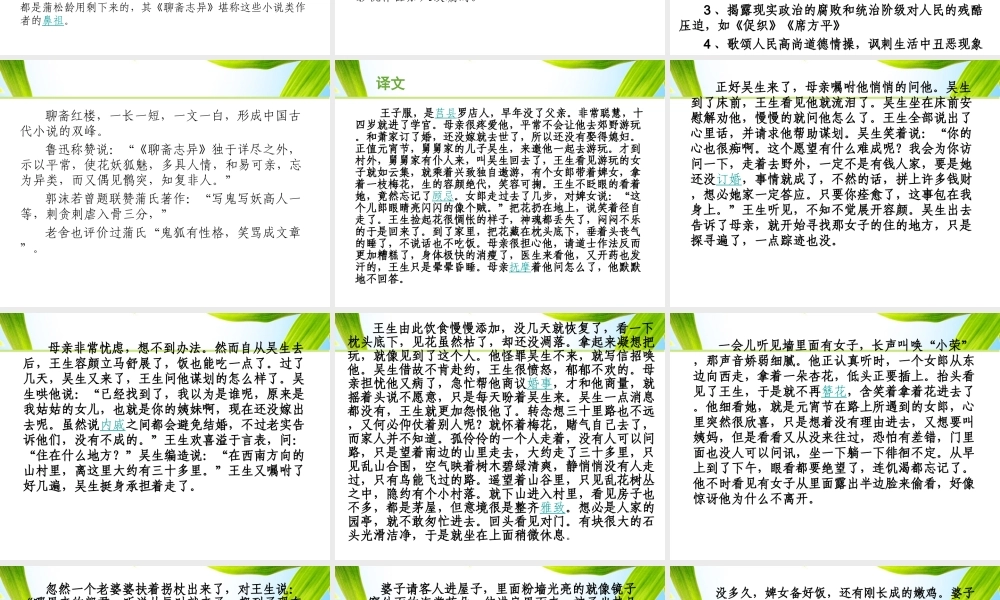 13.《婴宁》课件
