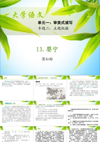 13.《婴宁》课件