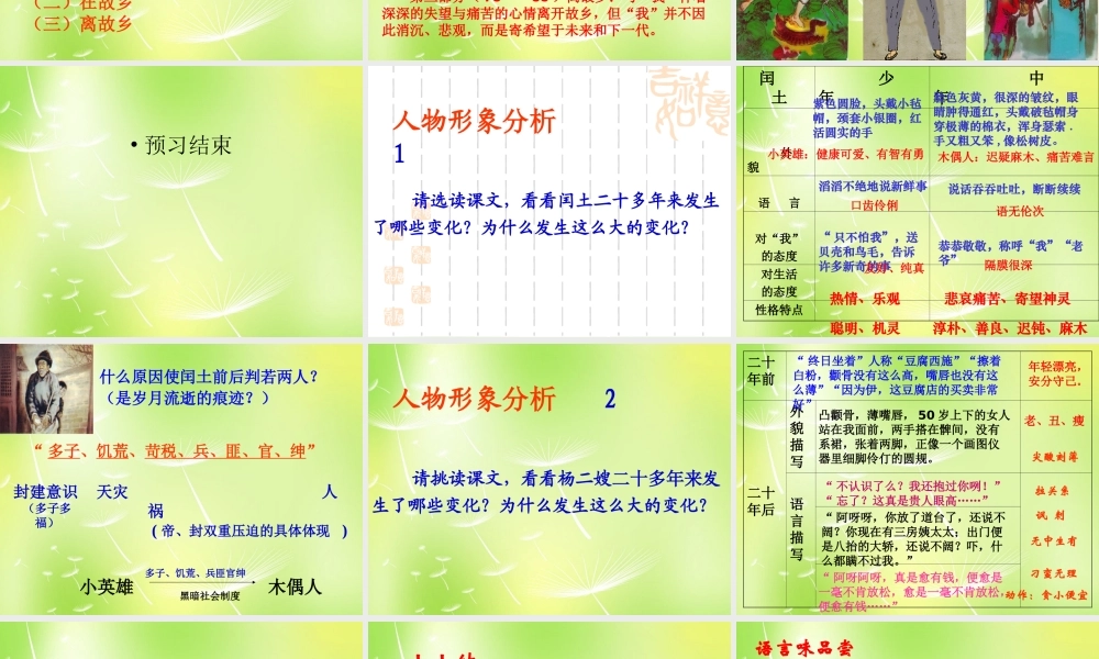 辽宁省东港市小甸子中学九年级语文上册 9 故乡课件 新人教版 课件