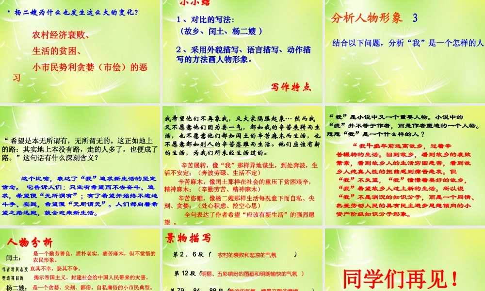 辽宁省东港市小甸子中学九年级语文上册 9 故乡课件 新人教版 课件