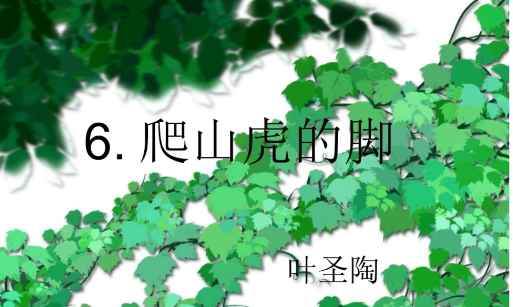 爬山虎的脚课件