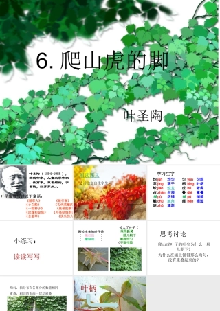 爬山虎的脚课件