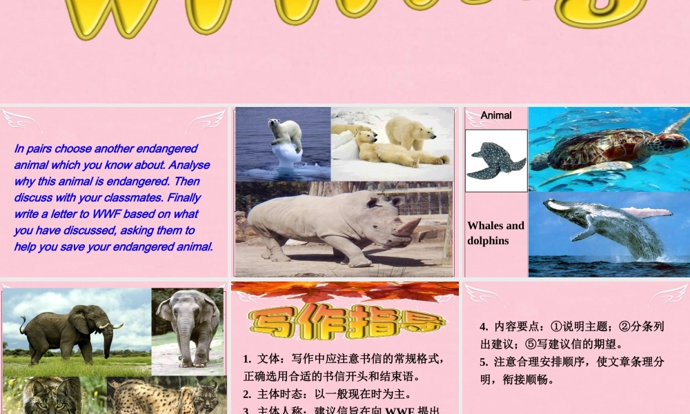 高中英语 Unit 4 Wildlife Protection Writing课件 新人教版必修2 课件