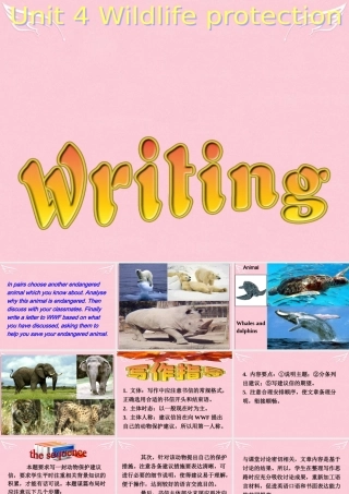 高中英语 Unit 4 Wildlife Protection Writing课件 新人教版必修2 课件