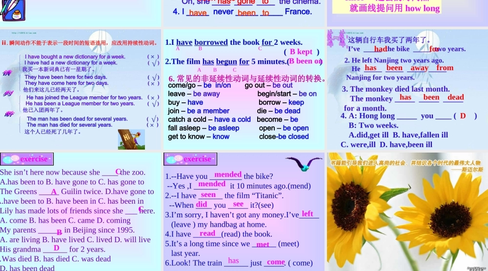 现在完成时九年级英语专题复习 课件