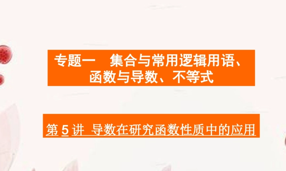 高考数学二轮复习 第5讲导数在研究函数性质中的应用课件