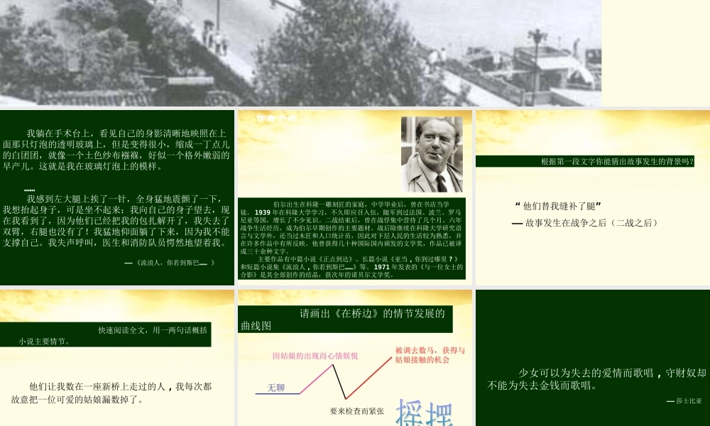 高二语文 第5单元(在桥边)2 新人教版选修(外国小说欣赏) 课件