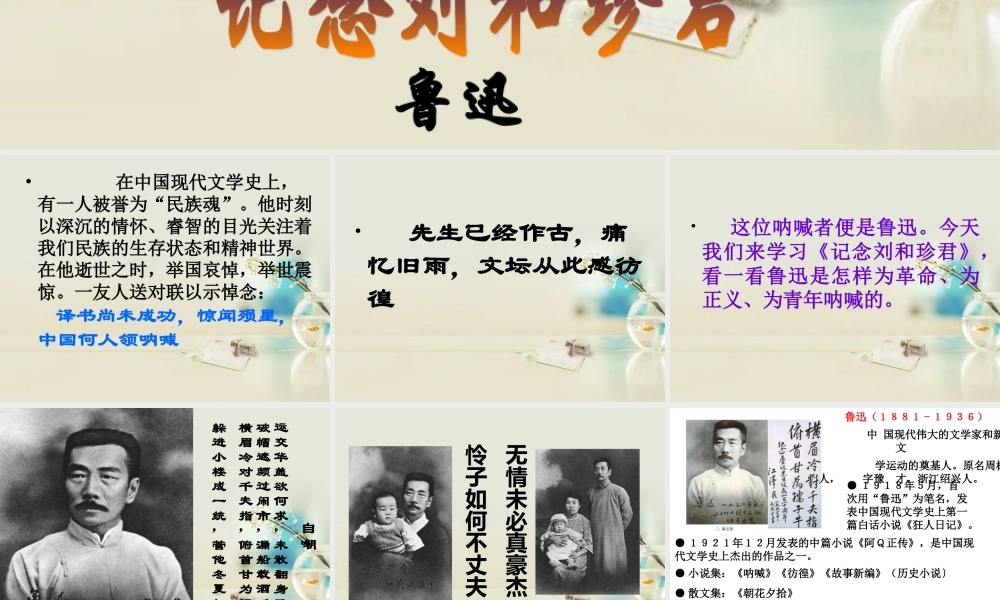 高中语文 纪念刘和珍君课件6课件 新人教版必修1 课件