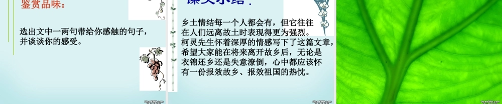 高一语文乡土情结课件 苏教版 课件