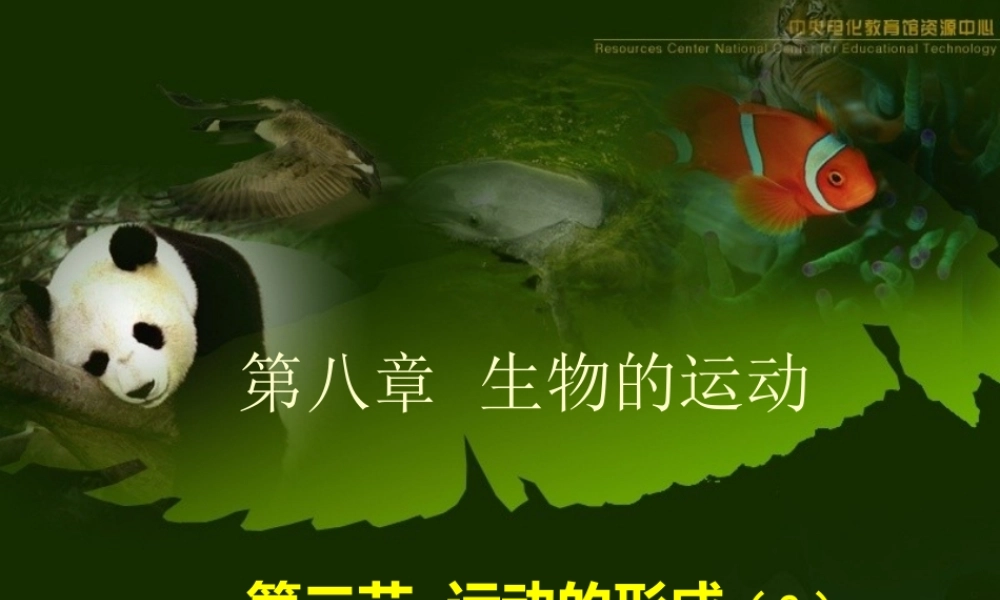 第二节---运动的形成(第二课时)