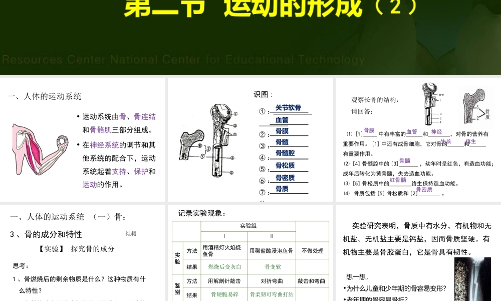 第二节---运动的形成(第二课时)