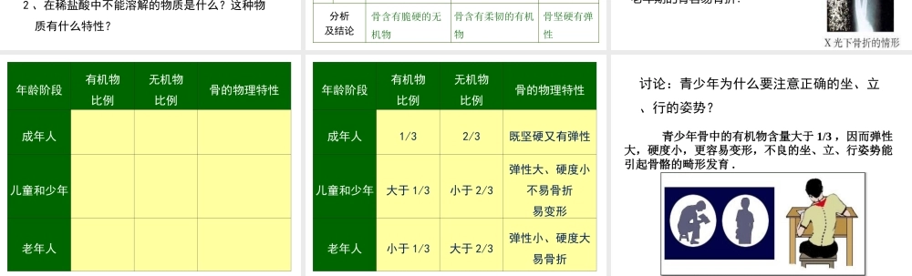 第二节---运动的形成(第二课时)