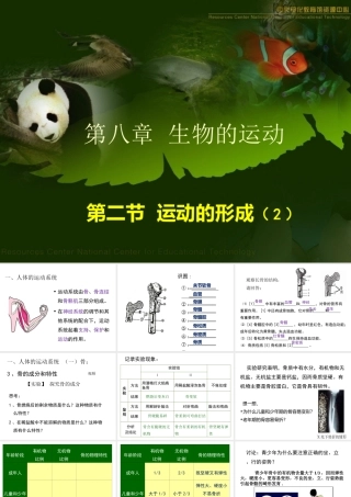 第二节---运动的形成(第二课时)