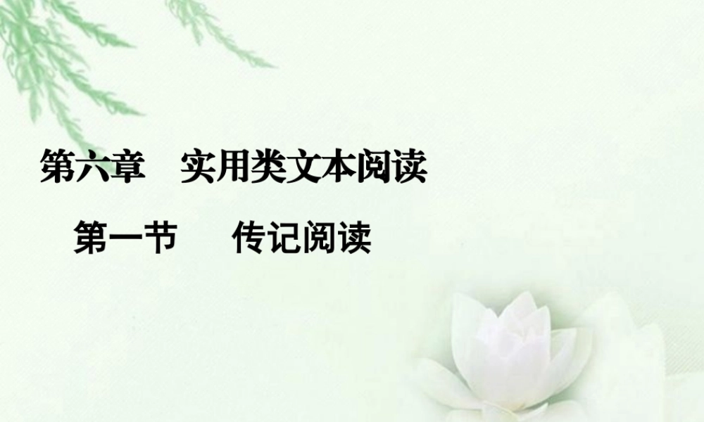 高中语文二轮复习 161 传记阅读课件(新课标) 课件