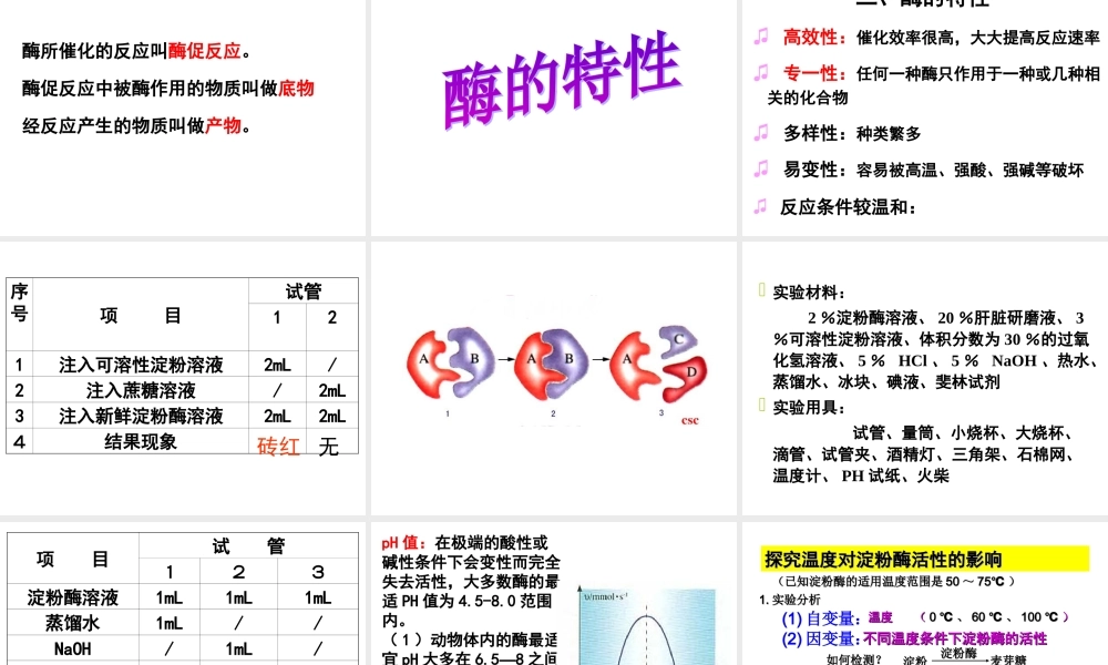 降低化学反应活化能的酶PPT