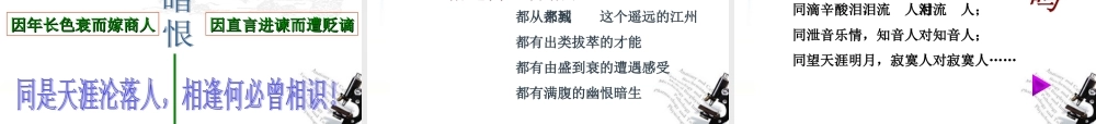 高中语文(琵琶行)课件 苏教版必修4 课件