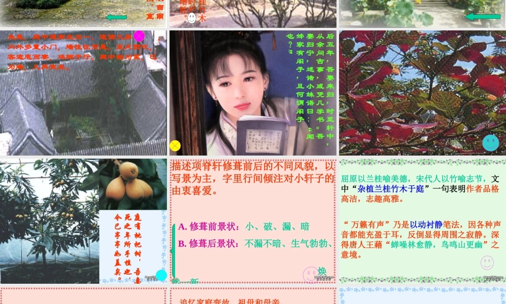 第六单元 第二十一课项脊轩志 人教版 课件
