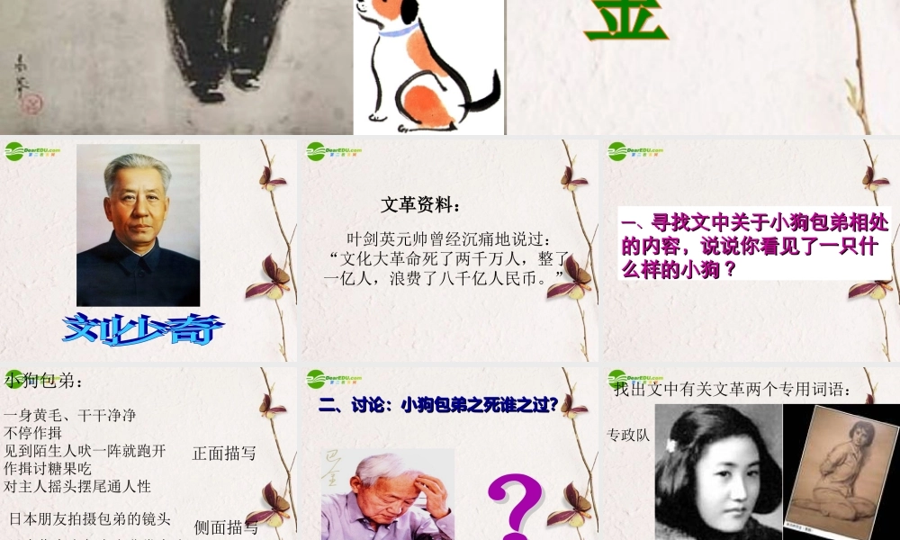 高中语文(小狗包弟)教学课件 新人教版必修1 课件