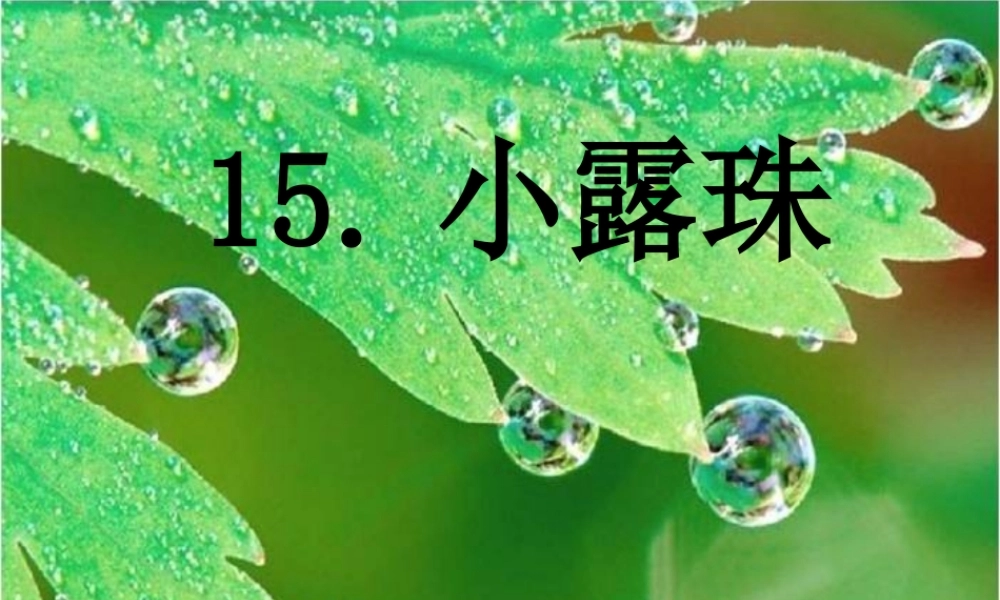《小露珠》说课PPT