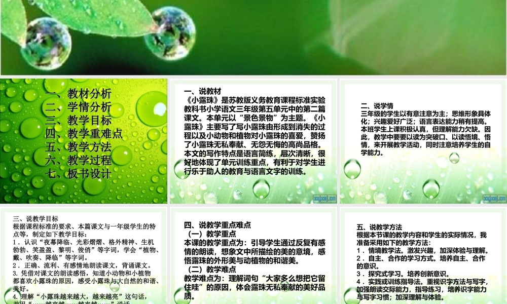 《小露珠》说课PPT