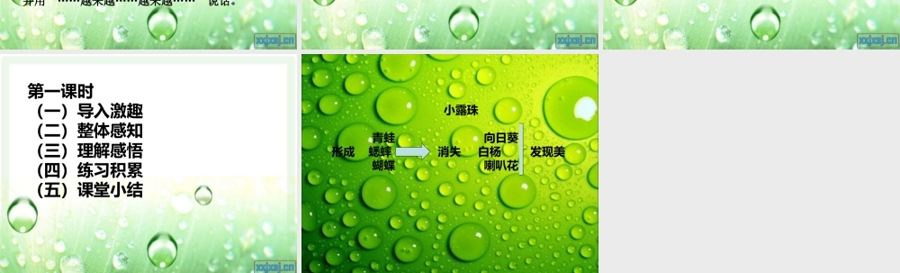 《小露珠》说课PPT