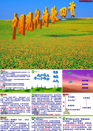 高中语文(现代诗歌四首)课件 粤教版 课件