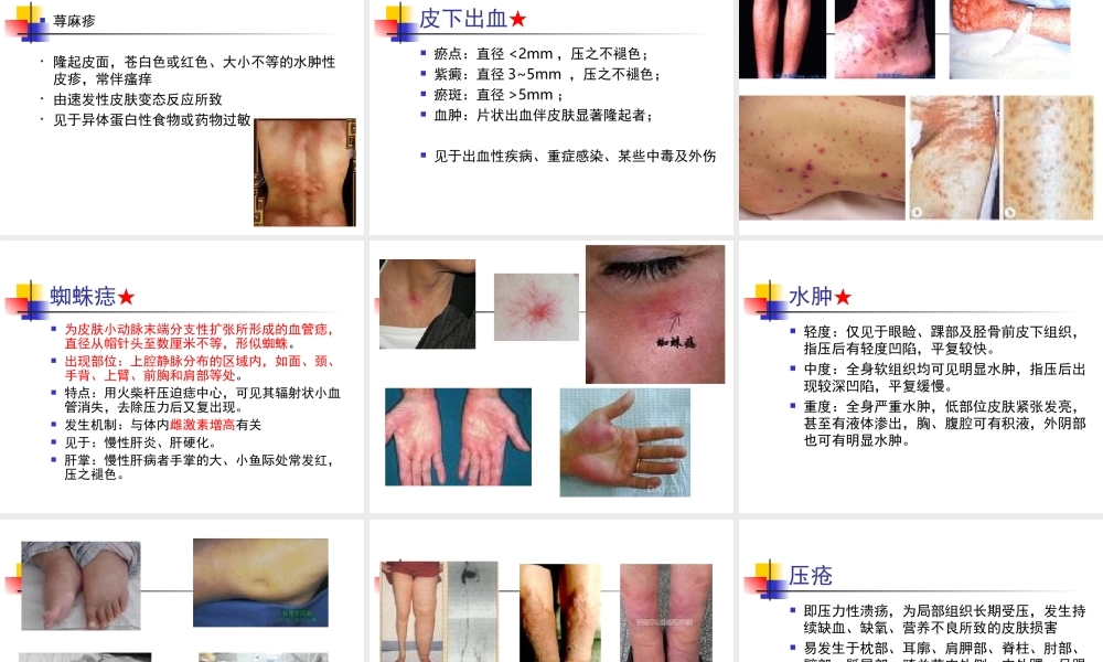 健康6——皮肤评估