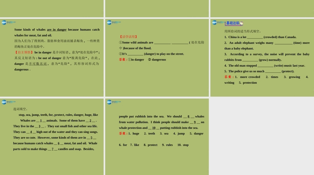 版八年级英语下册 Unit 7 What s the highest mountain in the world Section B (3a-Self Check)课件 (新版)人教新目标版 课件
