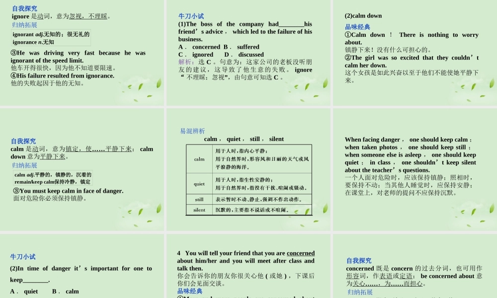 高中英语 Unit 1 Section Ⅱ Warming Up & Reading－Language Points课件 新人教版必修1 课件
