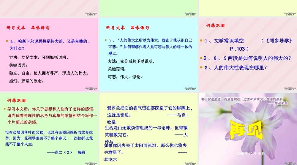 高二语文人是能思想的苇草 苏教版 课件