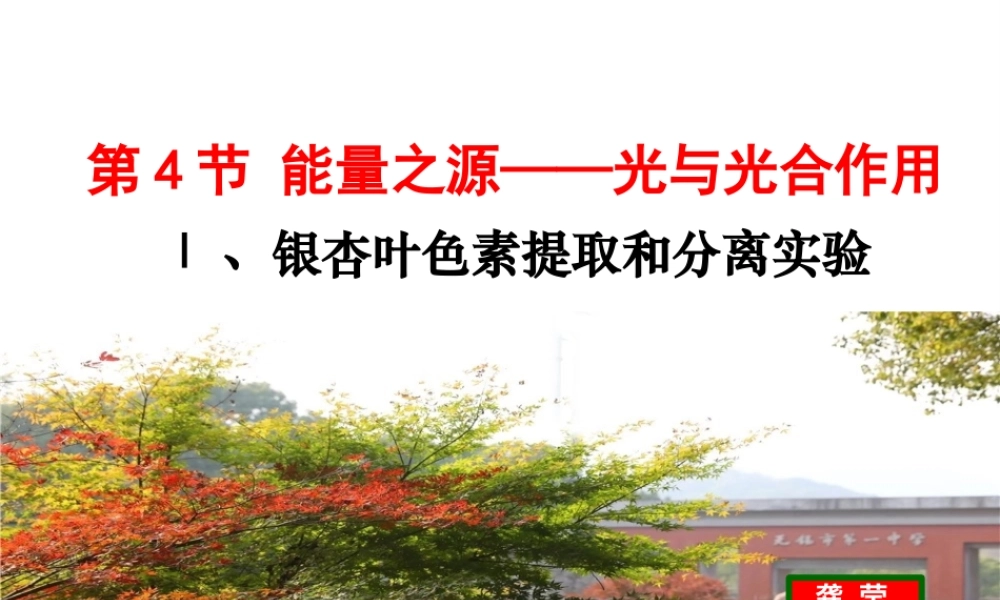 光合色素与光能量的捕获